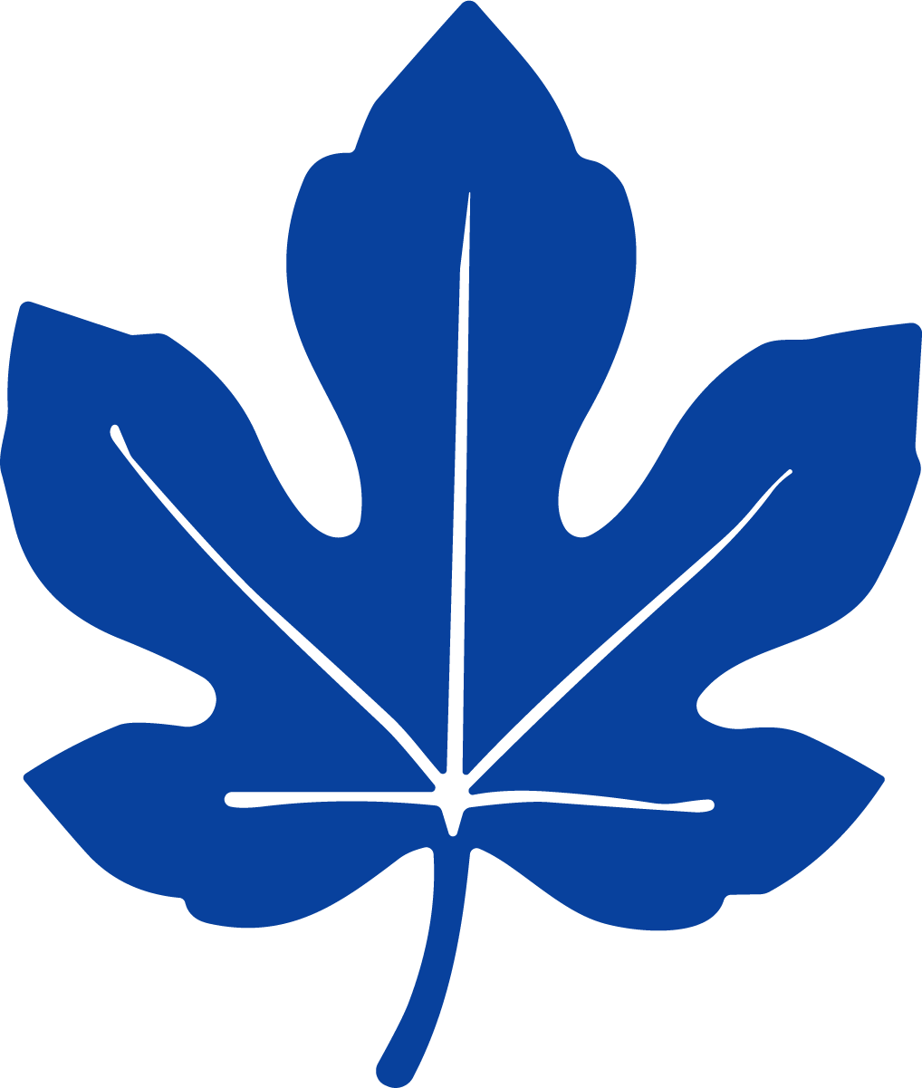 Fig Leaf SVG Bold Silhouette Vector - Image 1