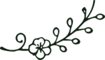 Floral Branch SVG Elegant Botanical Vector