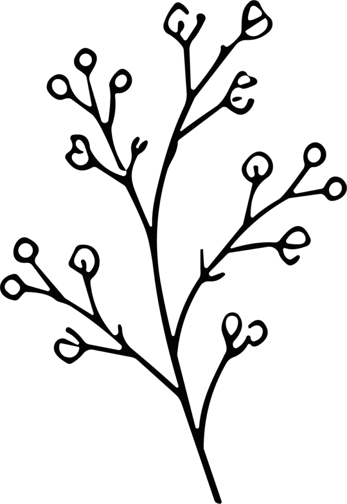 Flower Branch SVG Delicate Outline Vector