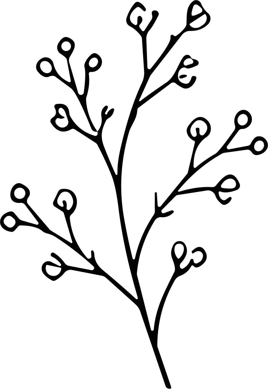 Flower Branch SVG Delicate Outline Vector - Image 1