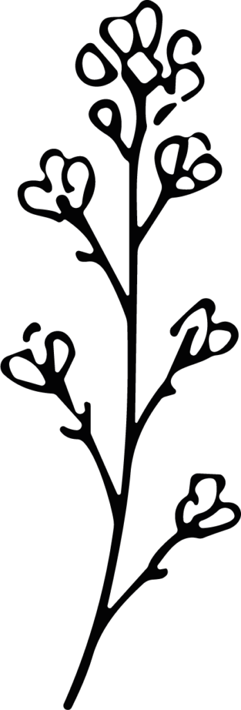 Flowering Branch SVG Delicate Botanical Vector
