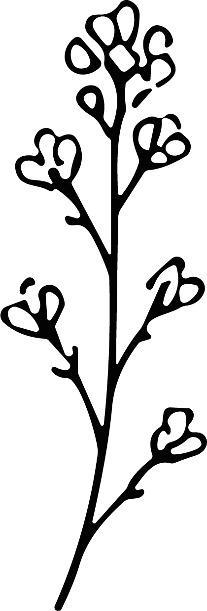 Flowering Branch SVG Delicate Botanical Vector - Image 1