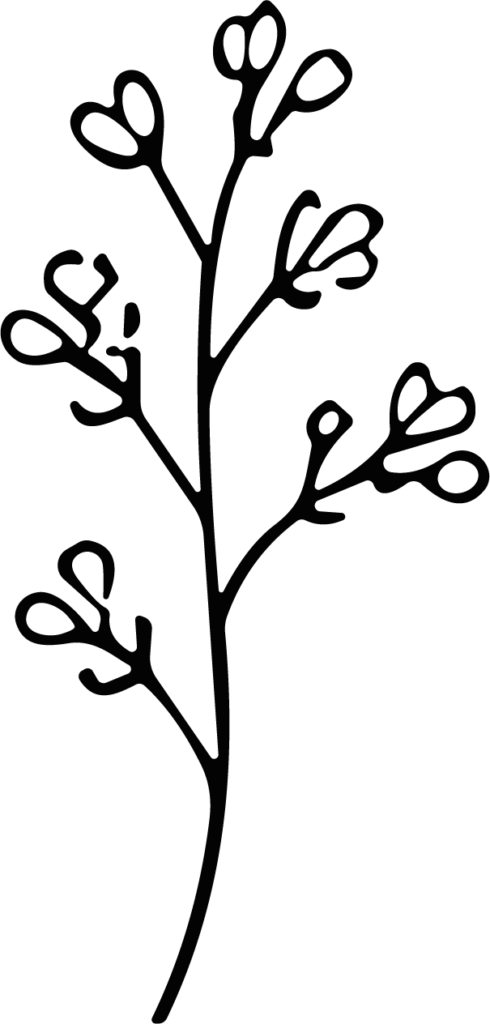 Flowering Branch SVG Delicate Botanical Vector