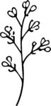 Flowering Branch SVG Delicate Botanical Vector