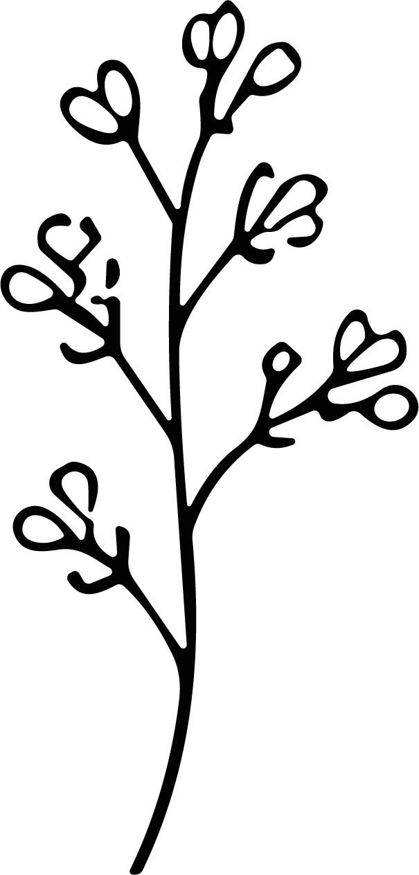 Flowering Branch SVG Delicate Botanical Vector - Image 1