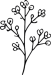 Flowering Branch SVG Delicate Botanical Vector