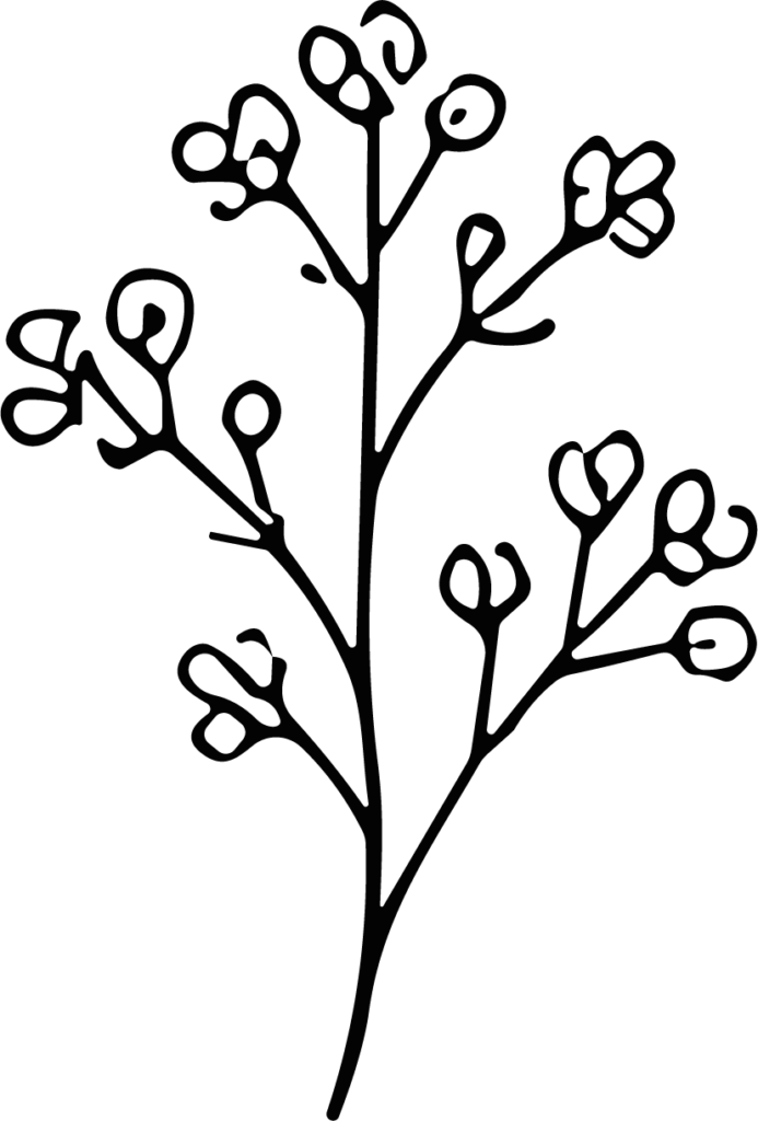 Flowering Branch SVG Delicate Botanical Vector