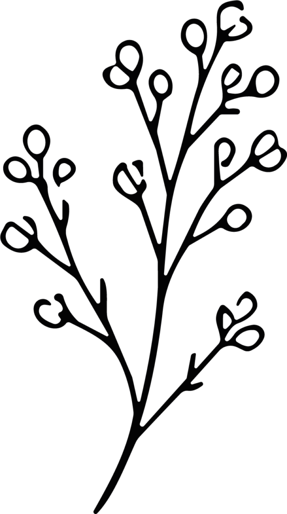Flowering Branch SVG Delicate Botanical Vector