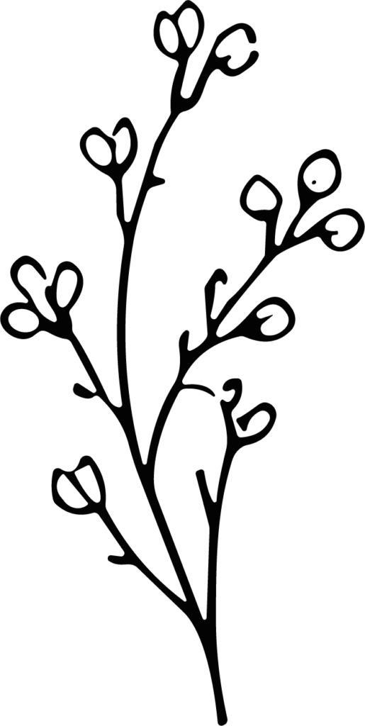 Flowering Branch SVG Delicate Botanical Sketch Vector