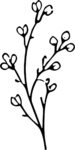 Flowering Branch SVG Delicate Botanical Sketch Vector