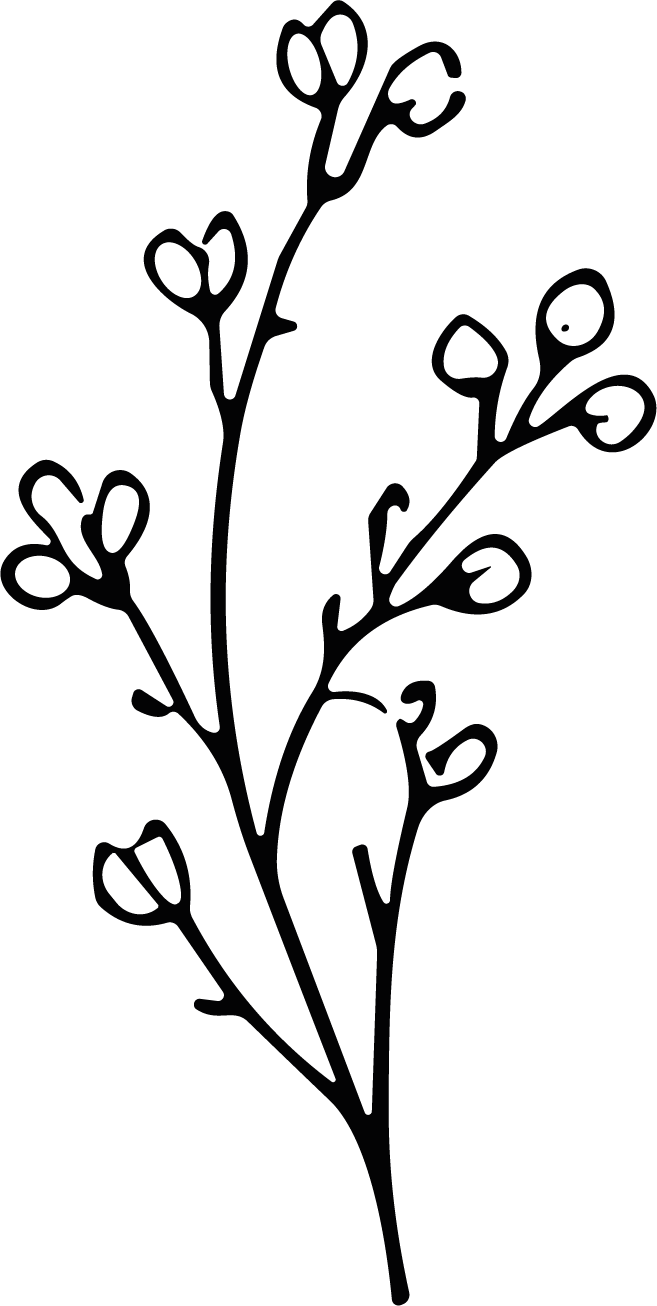 Flowering Branch SVG Delicate Botanical Sketch Vector - Image 1