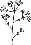 Flowering Branch SVG Delicate Botanical Vector