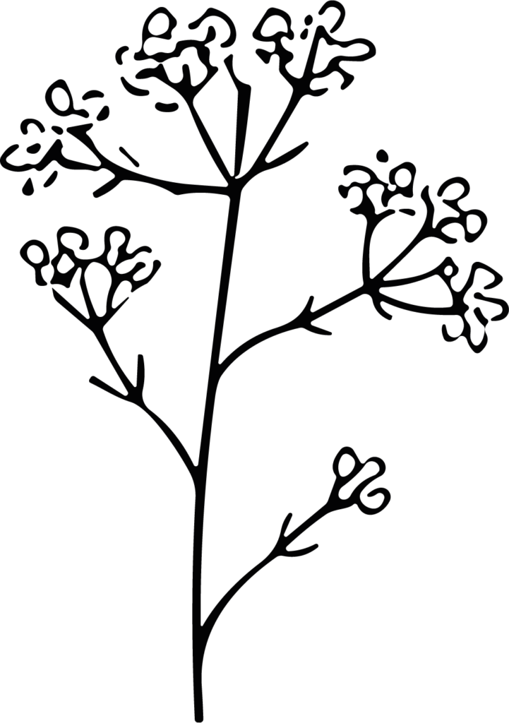 Flowering Branch SVG Delicate Botanical Vector