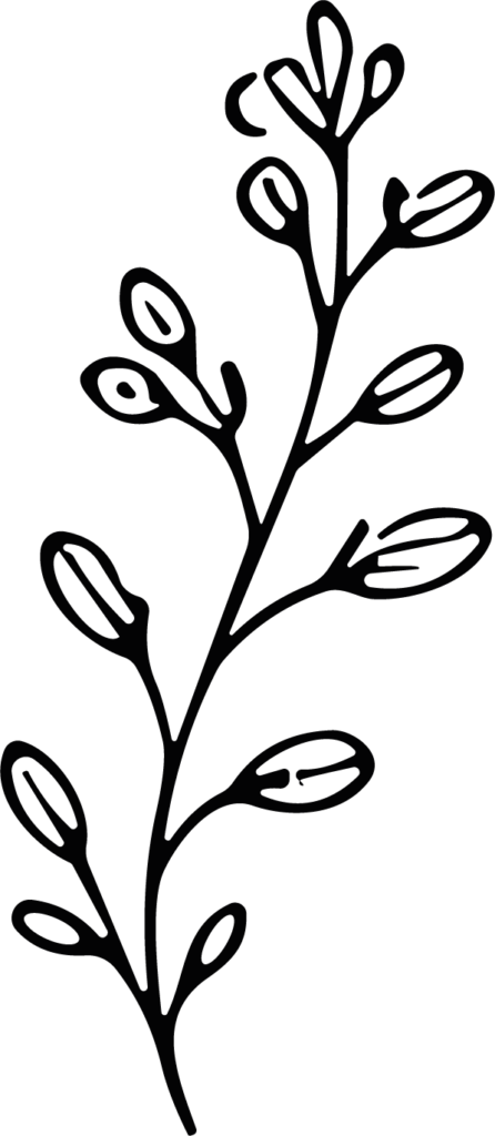 Flowering Branch SVG Bold Botanical Outline Vector