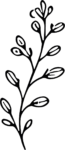 Flowering Branch SVG Bold Botanical Outline Vector