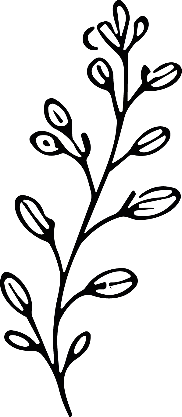 Flowering Branch SVG Bold Botanical Outline Vector - Image 1