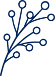 Flowering Branch SVG Delicate Botanical Vector