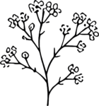 Flowering Branch SVG Whimsical Botanical Vector