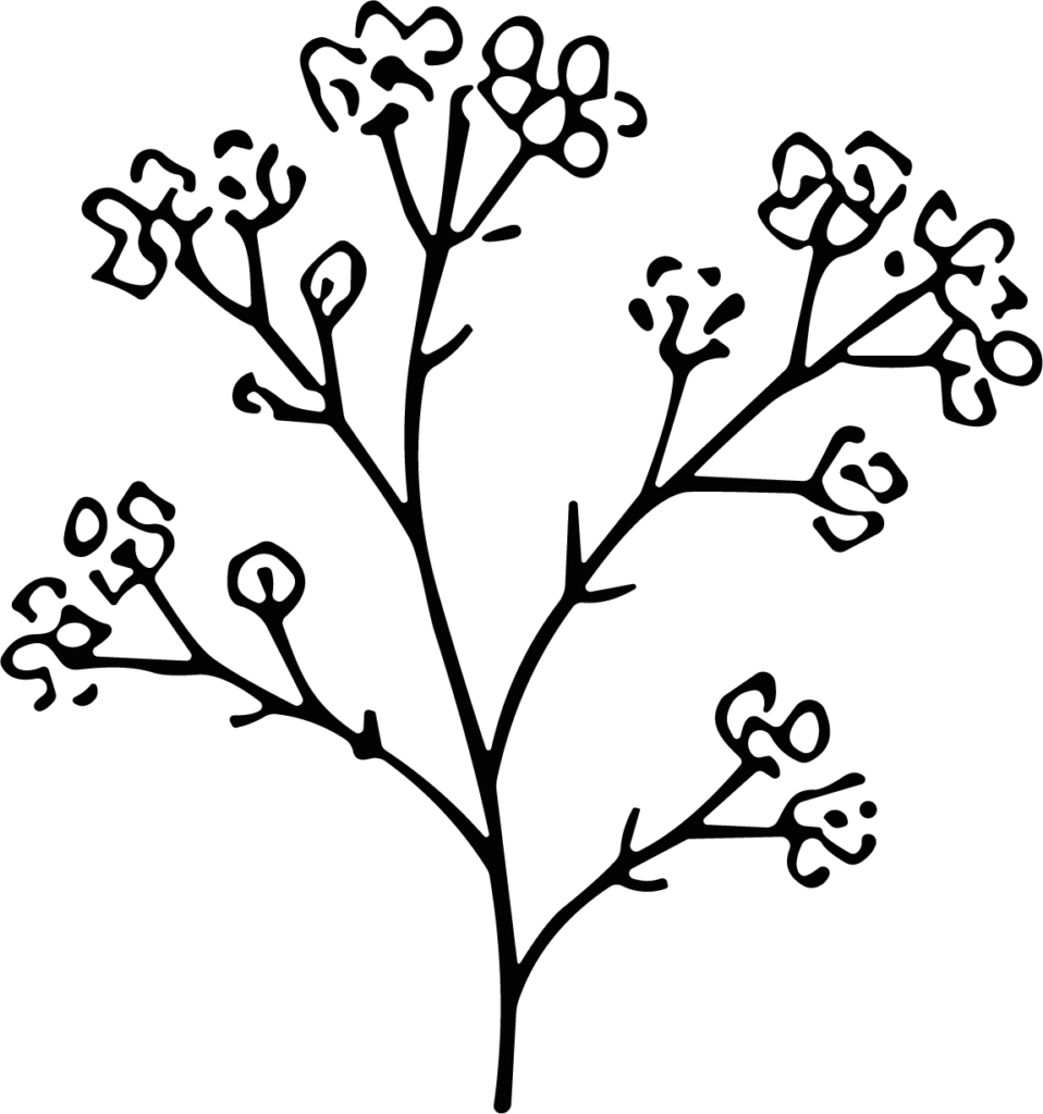 Flowering Branch SVG Whimsical Botanical Vector