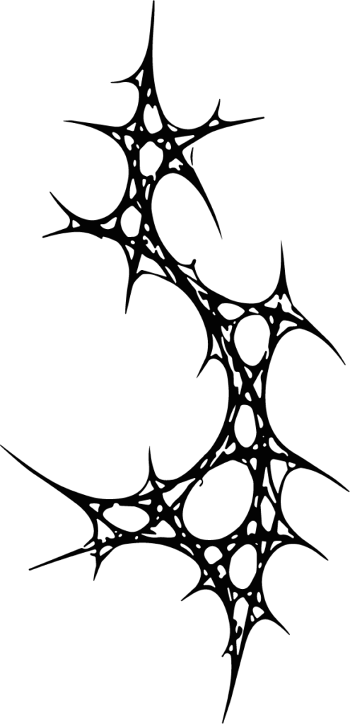 Fractal Web Star SVG Jagged Spikes Vector