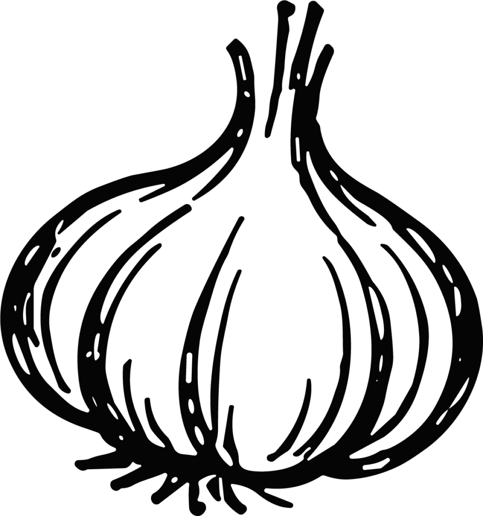 Garlic Bulb SVG Bold Sketch Vector