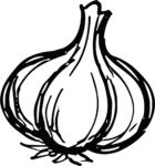 Garlic Bulb SVG Bold Outline Vector