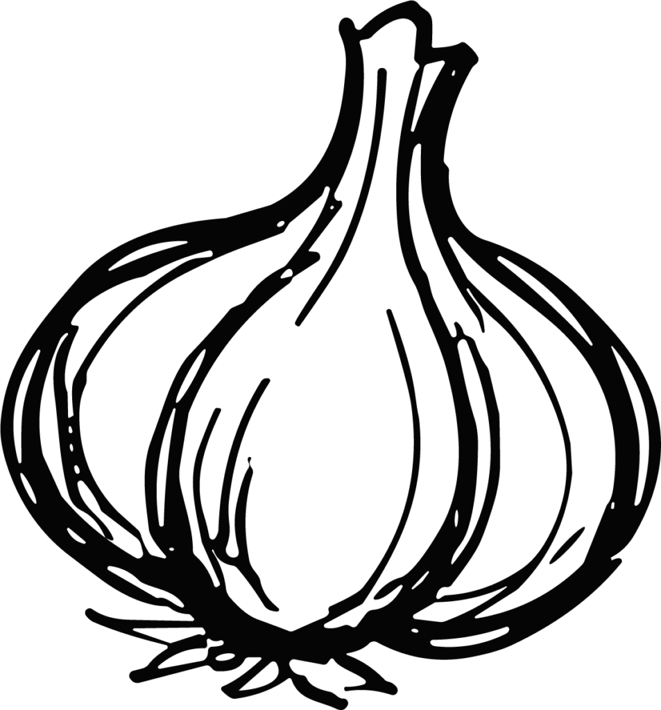 Garlic Bulb SVG Bold Outline Vector
