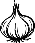 Garlic Bulb SVG Bold Sketch Vector