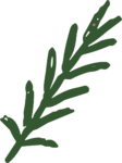 Green Fern Branch SVG Organic Foliage Vector