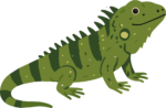 Green Iguana SVG Striped Reptile Vector