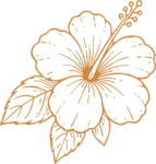Hibiscus Flower SVG Tropical Line Sketch Vector