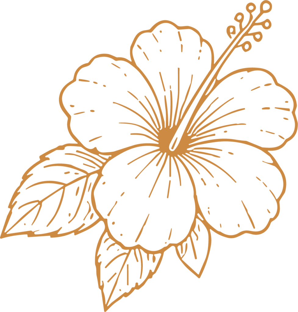 Hibiscus Flower SVG Tropical Line Sketch Vector