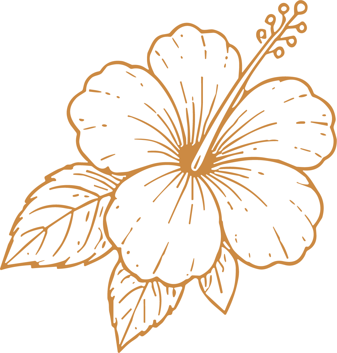 Hibiscus Flower SVG Tropical Line Sketch Vector - Image 1