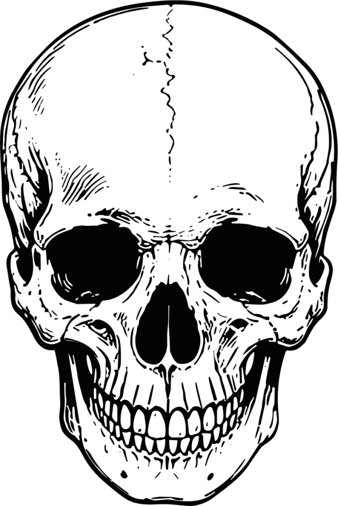 Human Skull SVG Bold Ink Outline Vector