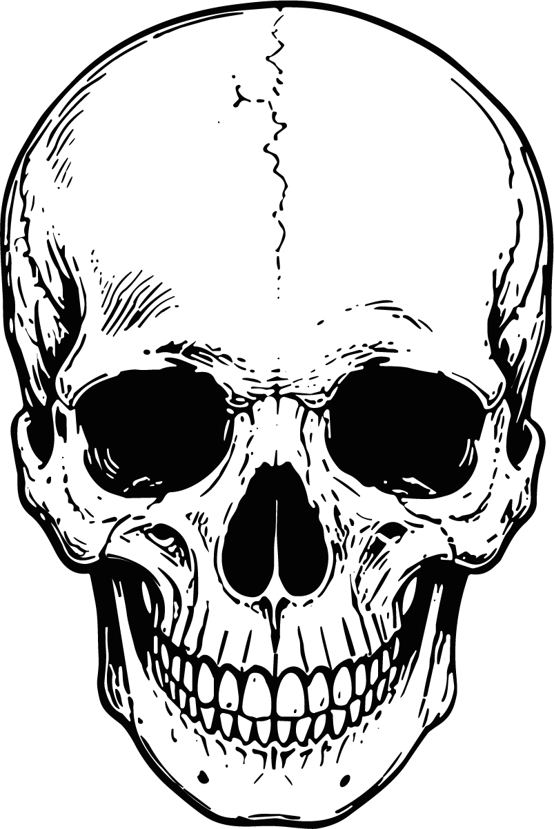 Human Skull SVG Bold Ink Outline Vector - Image 1