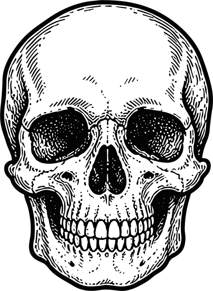 Human Skull SVG Detailed Crosshatch Vector