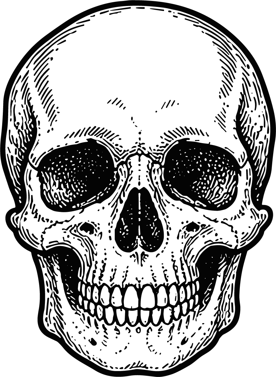 Human Skull SVG Detailed Crosshatch Vector - Image 1