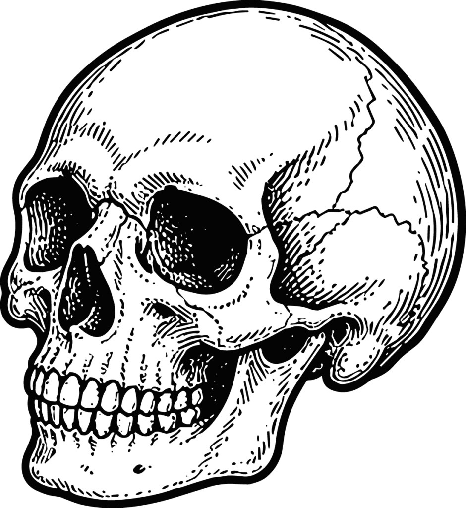 Human Skull SVG Detailed Etching Vector