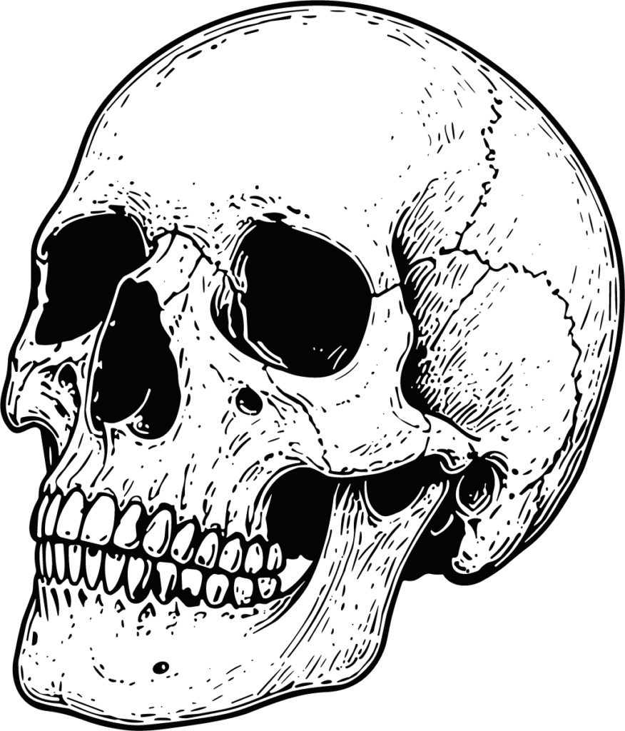 Human Skull SVG Bold Ink Sketch Vector