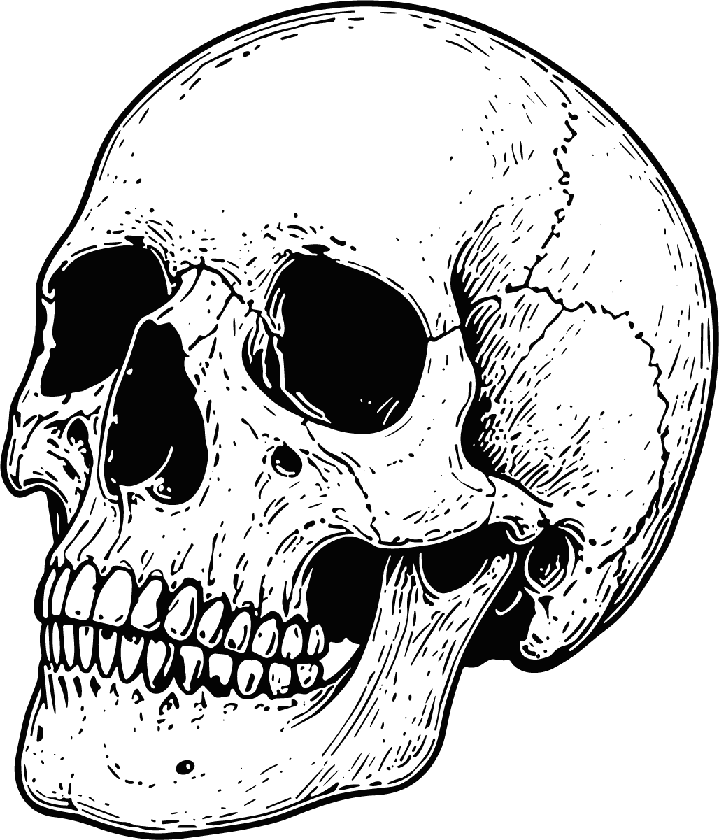 Human Skull SVG Bold Ink Sketch Vector - Image 1
