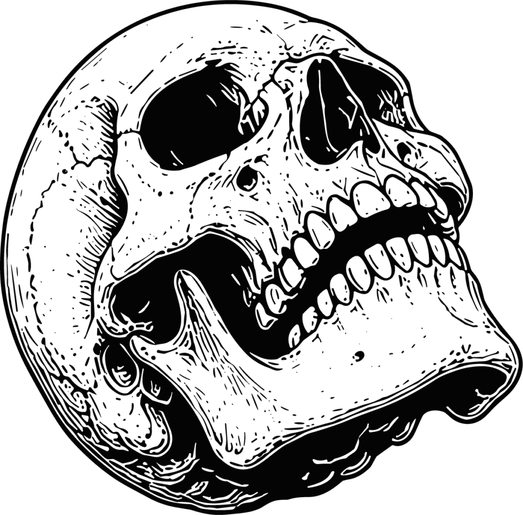 Human Skull SVG Detailed Ink Vector