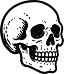 Human Skull SVG Bold Tattoo Style Vector