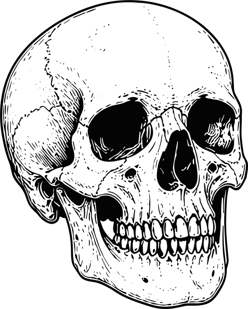 Human Skull SVG Detailed Inked Vector