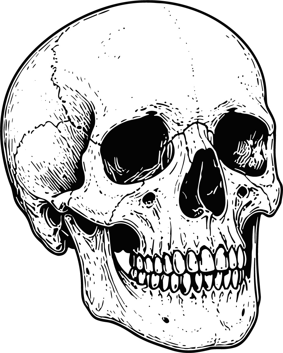 Human Skull SVG Detailed Inked Vector - Image 1
