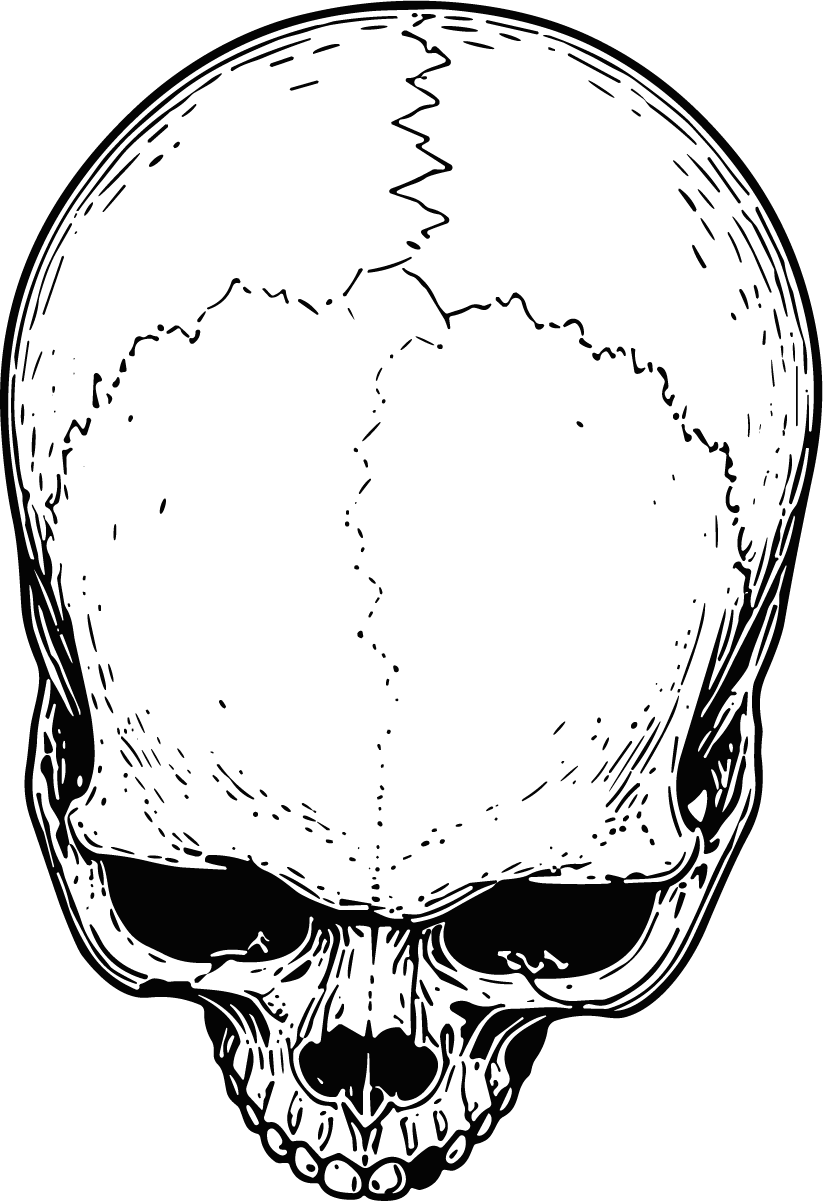 Human Skull SVG Detailed Ink Vector - Image 1