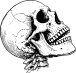 Human Skull SVG Detailed Anatomical Vector