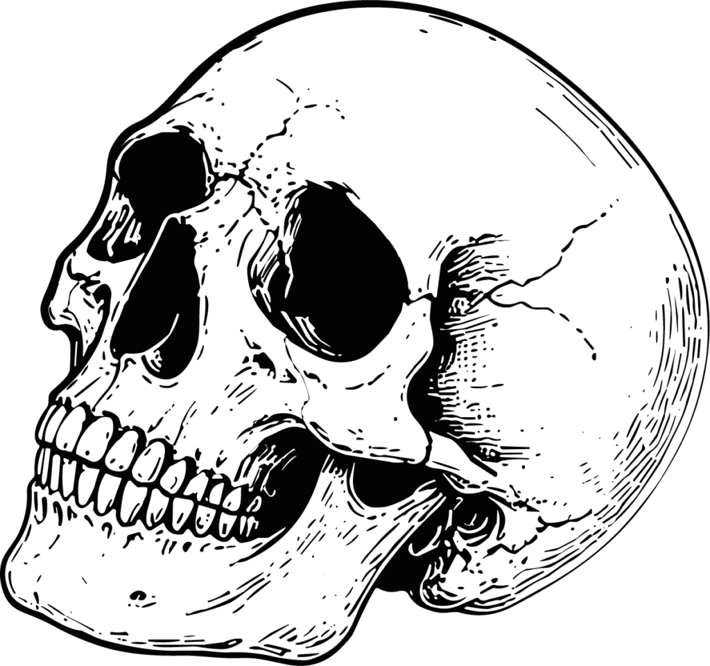 Human Skull SVG Cracked Ink Sketch Vector