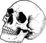 Human Skull SVG Cracked Ink Sketch Vector