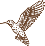 Hummingbird SVG Flowing Line Art Vector