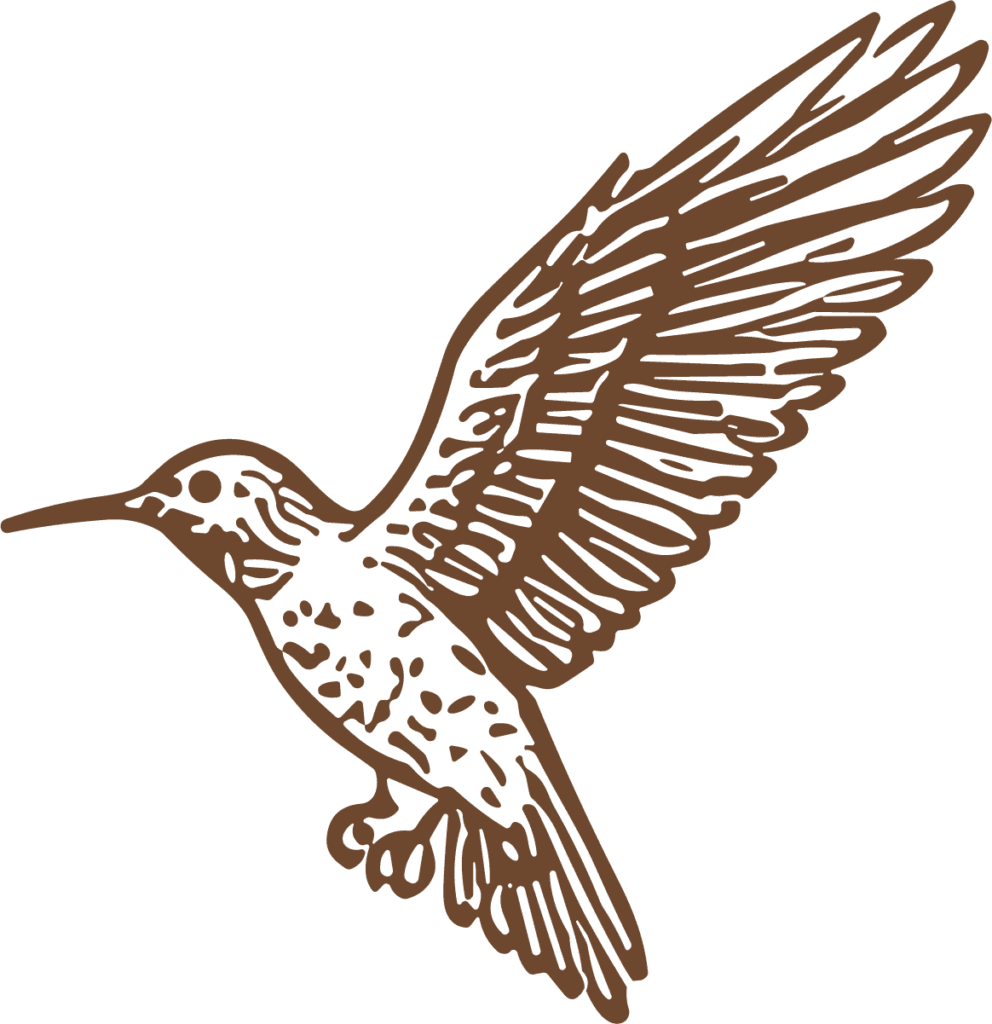 Hummingbird SVG Flowing Line Art Vector
